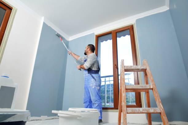 Best Post-Remediation Verification Testing  in Nisswa, MN