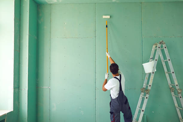 Environmental Consulting for Mold Prevention in Nisswa, MN