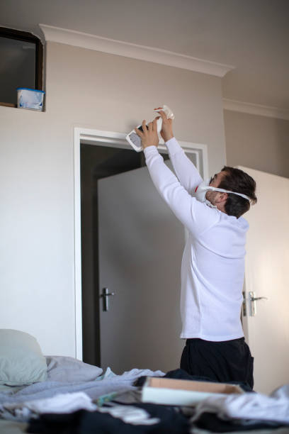 Best Black Mold Removal  in Nisswa, MN