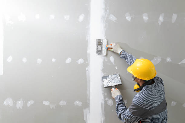 Best Commercial Mold Inspection  in Nisswa, MN