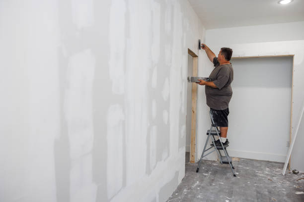 Best Residential Mold Inspection & Testing  in Nisswa, MN