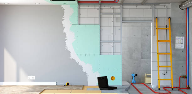 Best HVAC Mold Inspection and Cleaning  in Nisswa, MN