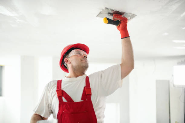 Best Biohazard Mold Removal  in Nisswa, MN