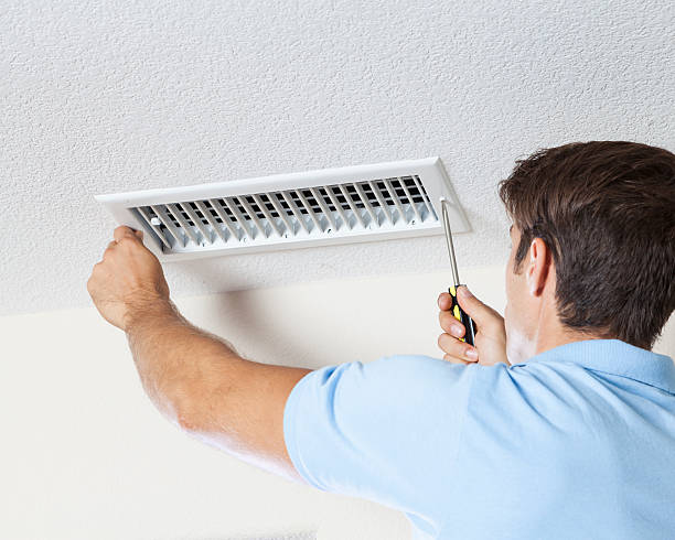Best Basement Mold Removal  in Nisswa, MN