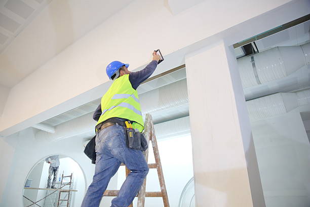 Best Post-Construction Mold Inspection  in Nisswa, MN