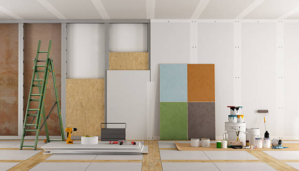 Best Mold Odor Removal Services  in Nisswa, MN