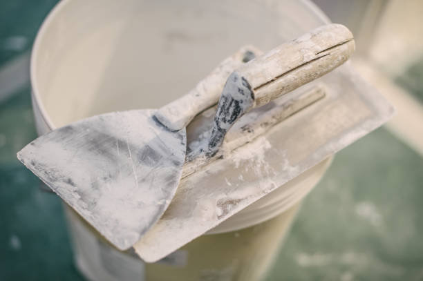 Best Industrial Mold Remediation  in Nisswa, MN