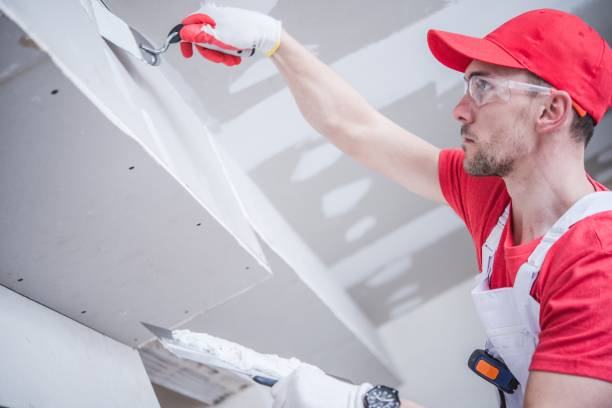 Nisswa, MN Mold Removal Company